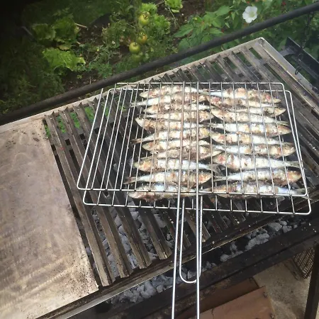 Pavillon Clara Flor *