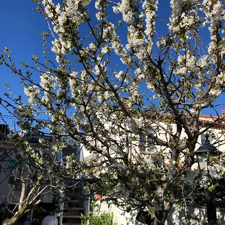Pavillon Clara Flor Vakantiehuis