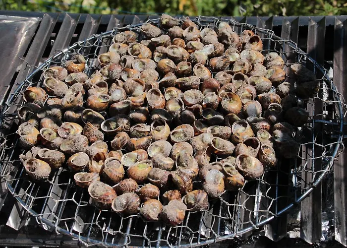 Pavillon Clara Flor Сasa de vacaciones *